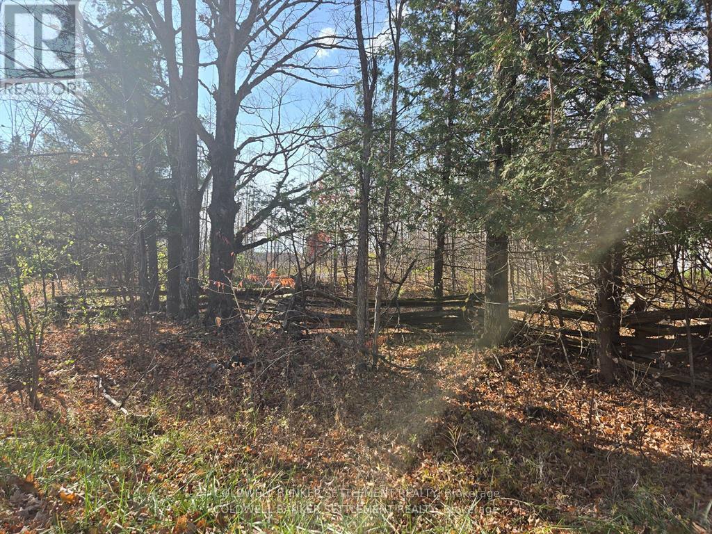 0 Dalhousie Con 8 Concession, Lanark Highlands, Ontario K0G 1K0 - Photo 3 - X12515730