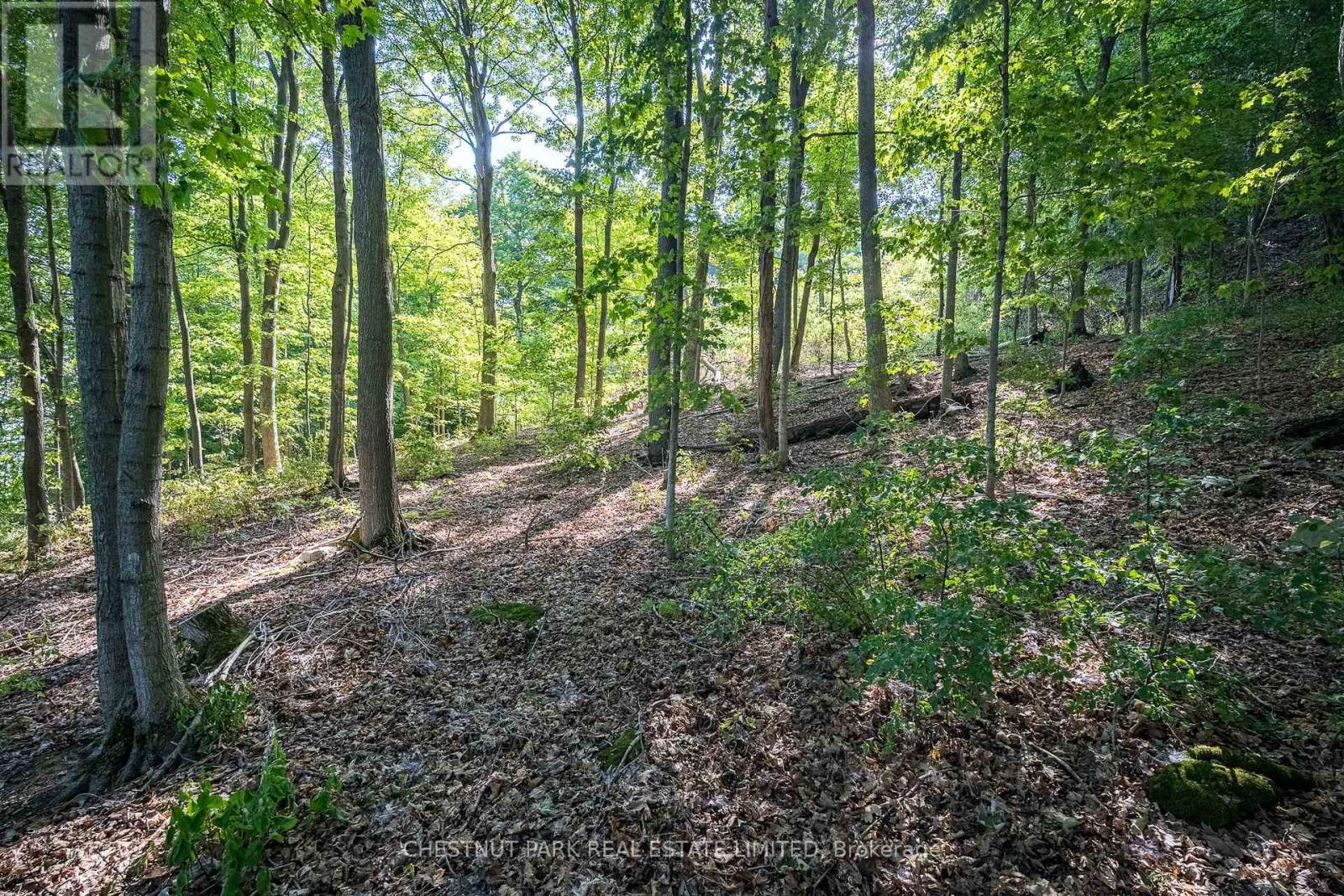 2035 County Rd 7, Prince Edward County, Ontario K0K 2T0 - Photo 23 - X12285247