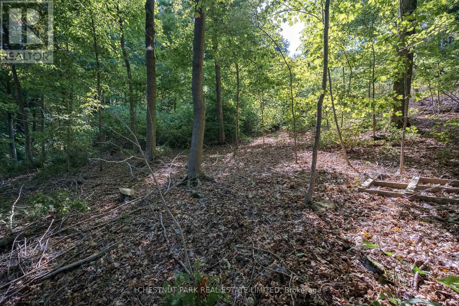 2035 County Rd 7, Prince Edward County, Ontario K0K 2T0 - Photo 24 - X12285247