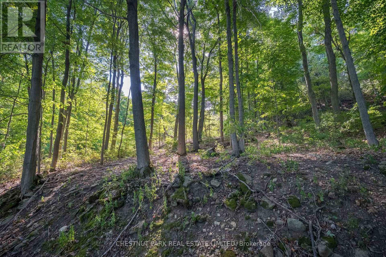 2035 County Rd 7, Prince Edward County, Ontario K0K 2T0 - Photo 26 - X12285247