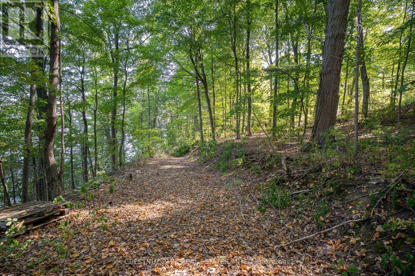 2035 County Rd 7, Prince Edward County, Ontario K0K 2T0 - Photo 27 - X12285247