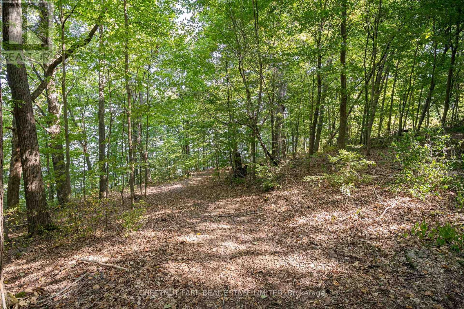 2035 County Rd 7, Prince Edward County, Ontario K0K 2T0 - Photo 28 - X12285247