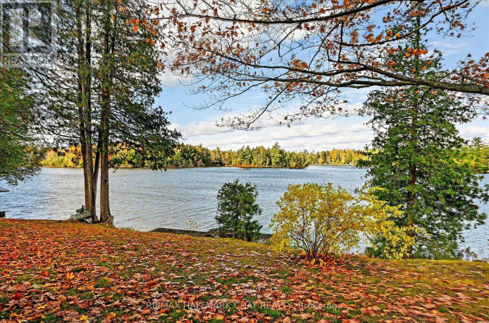 1452-1460 Birchview Road, Douro-Dummer, Ontario  K0L 2H0 - Photo 14 - X12515734