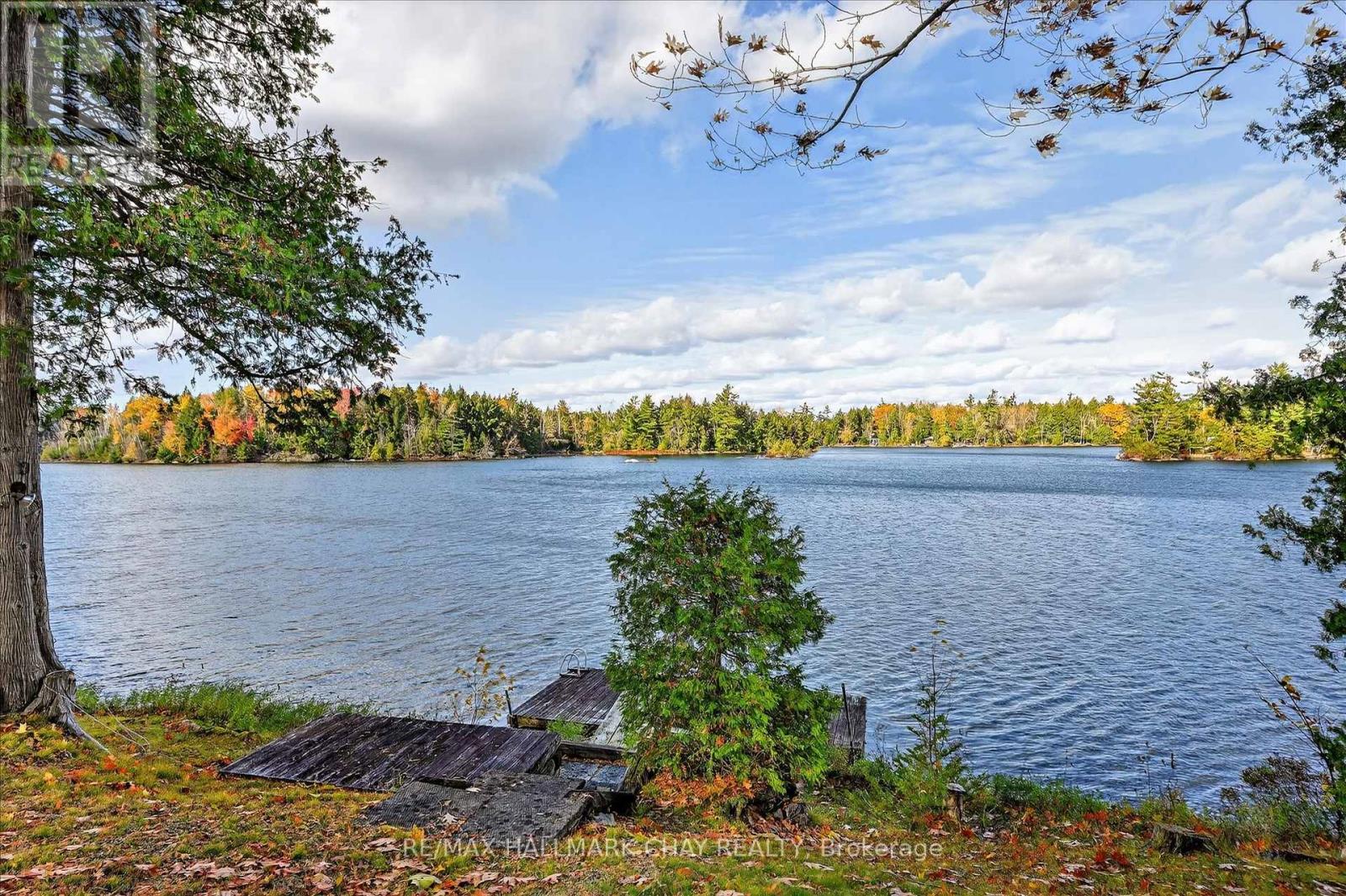 1452-1460 Birchview Road, Douro-Dummer, Ontario  K0L 2H0 - Photo 15 - X12515734