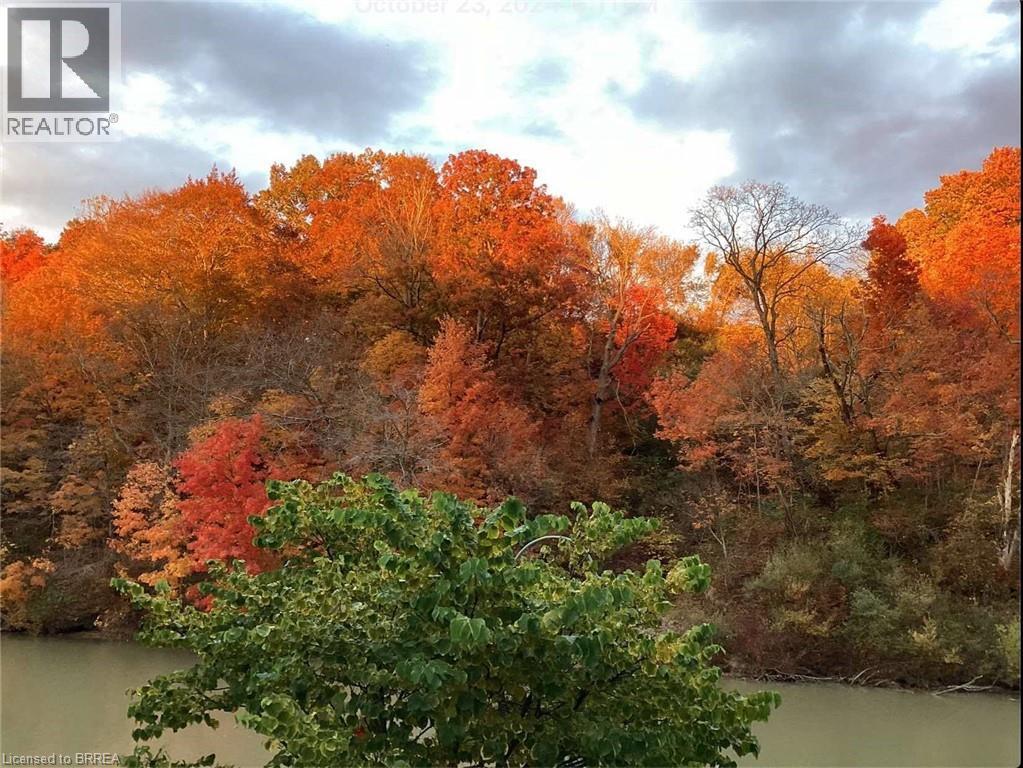 Photo 30 of 30 for 3302 Colin Street