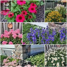 33 Verney Street, Guelph, Ontario  N1H 1N5 - Photo 41 - X12515778