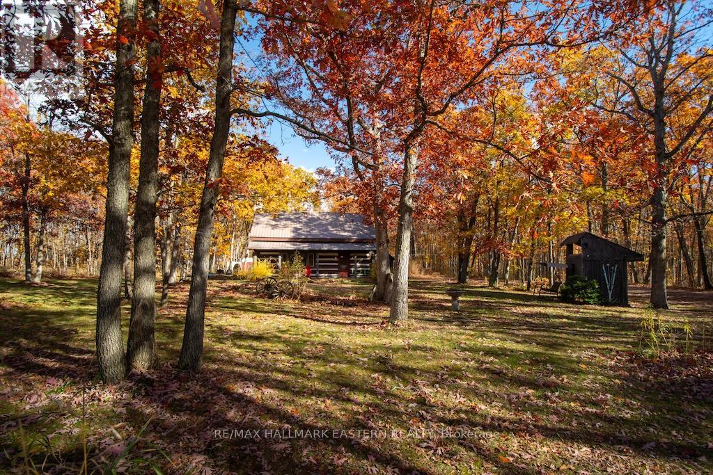 371-B Godolphin Road, Trent Hills, Ontario K0K 3K0 - Photo 46 - X12512994