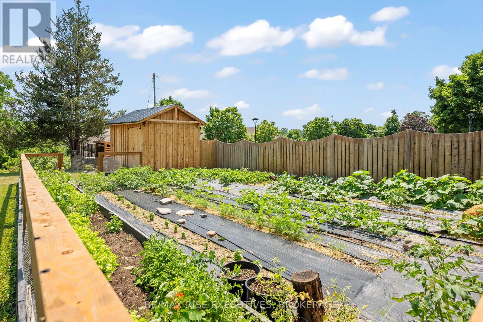 320 Dundas Street W, Greater Napanee, Ontario  K7R 2B4 - Photo 10 - X12516000