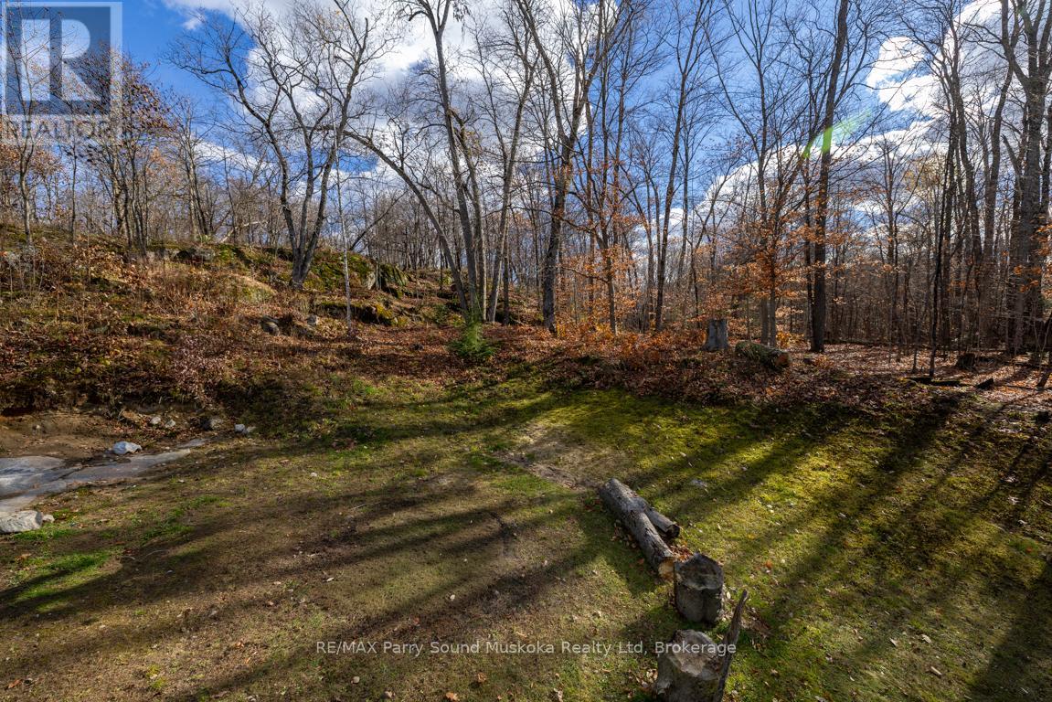 336 Clear Lake Road, Seguin, Ontario P2A 2W8 - Photo 43 - X12516016