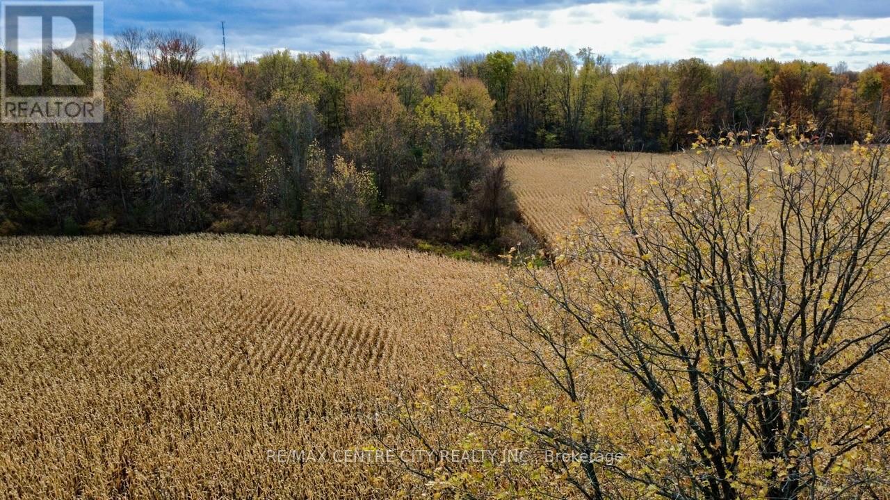 50589 Dingle Line, Malahide, Ontario  N5H 2R1 - Photo 3 - X12515988