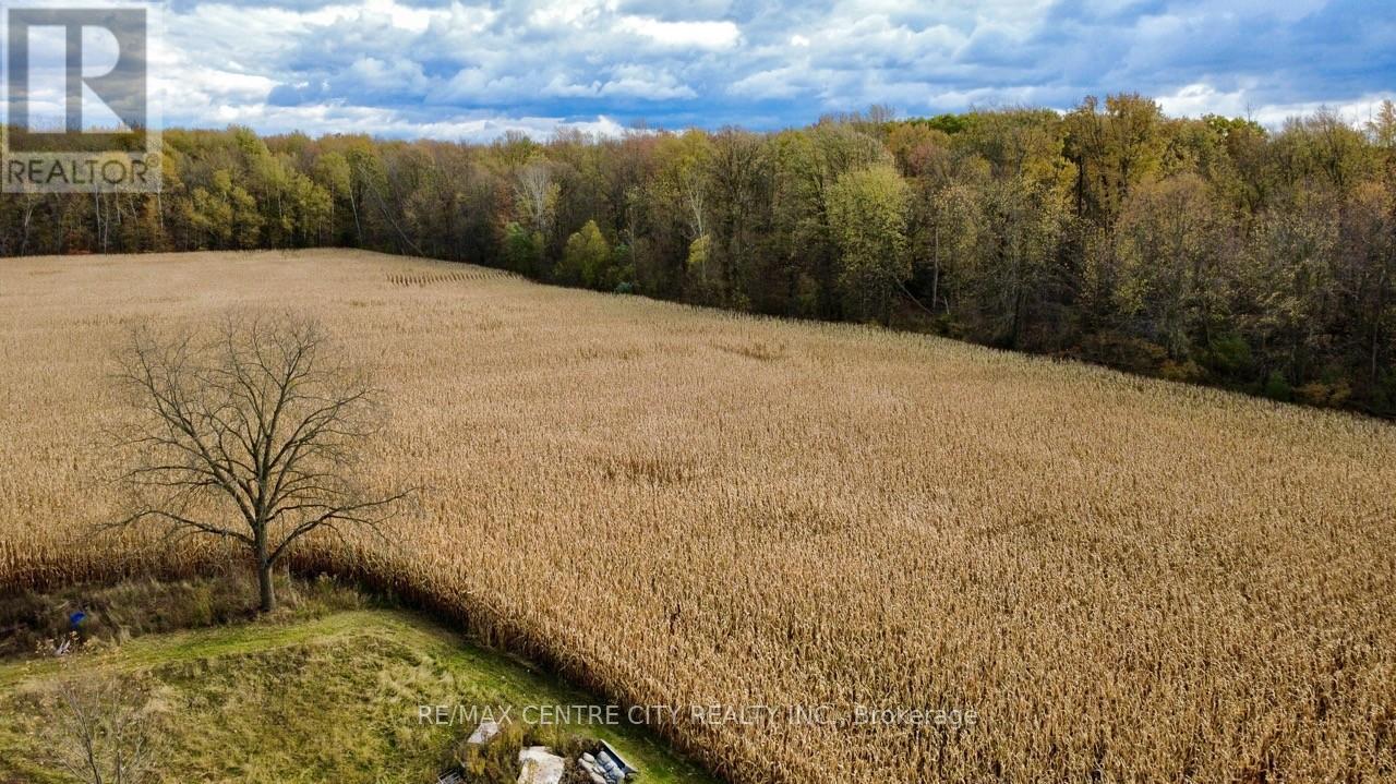 50589 Dingle Line, Malahide, Ontario  N5H 2R1 - Photo 4 - X12515988
