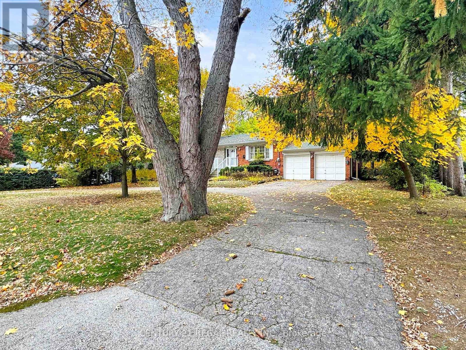 20 West Hill Drive, Toronto, Ontario M1E 3T5 - Photo 4 - E12515886