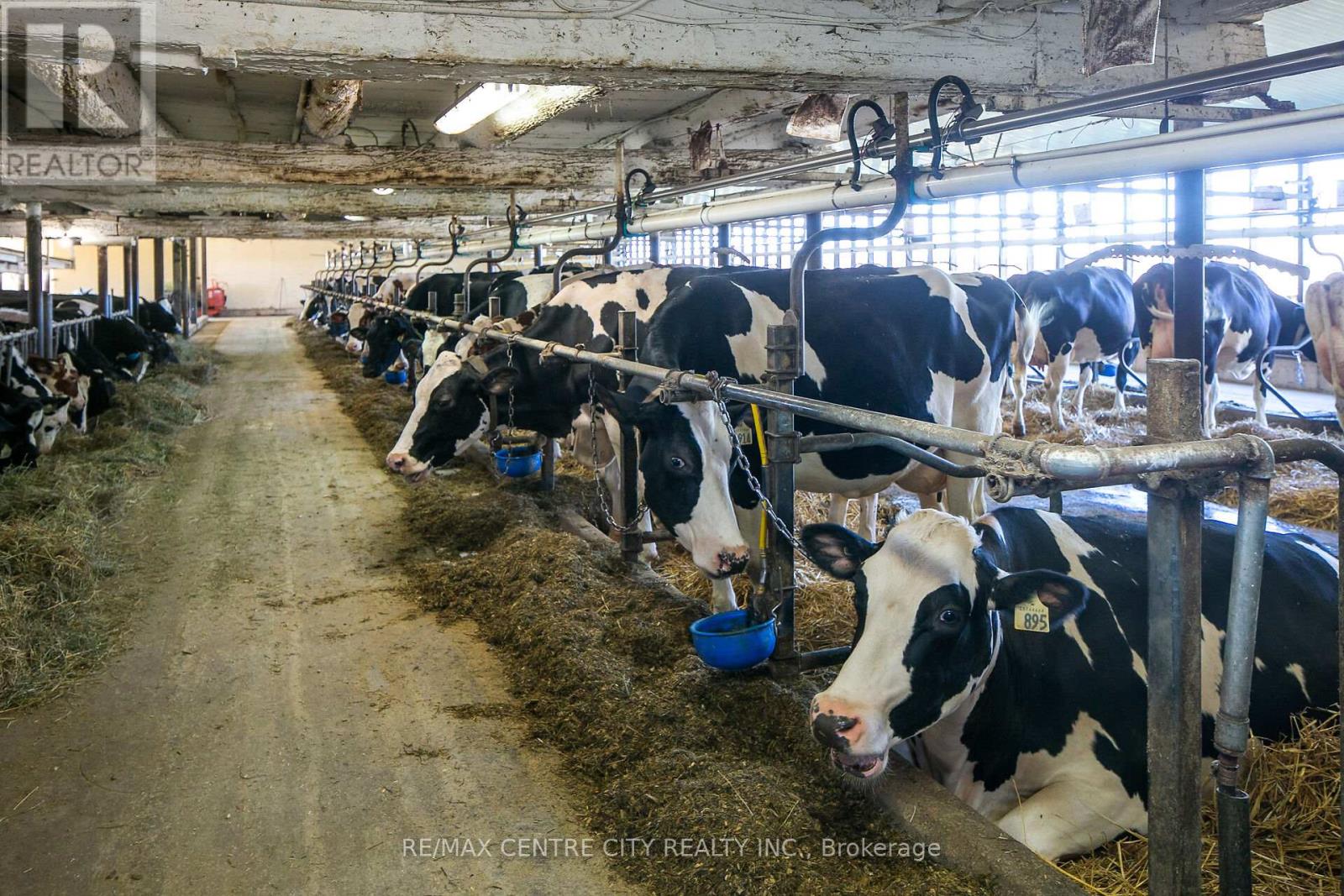 595224 4th Line, Blue Mountains, Ontario  N0H 2E0 - Photo 14 - X12516434