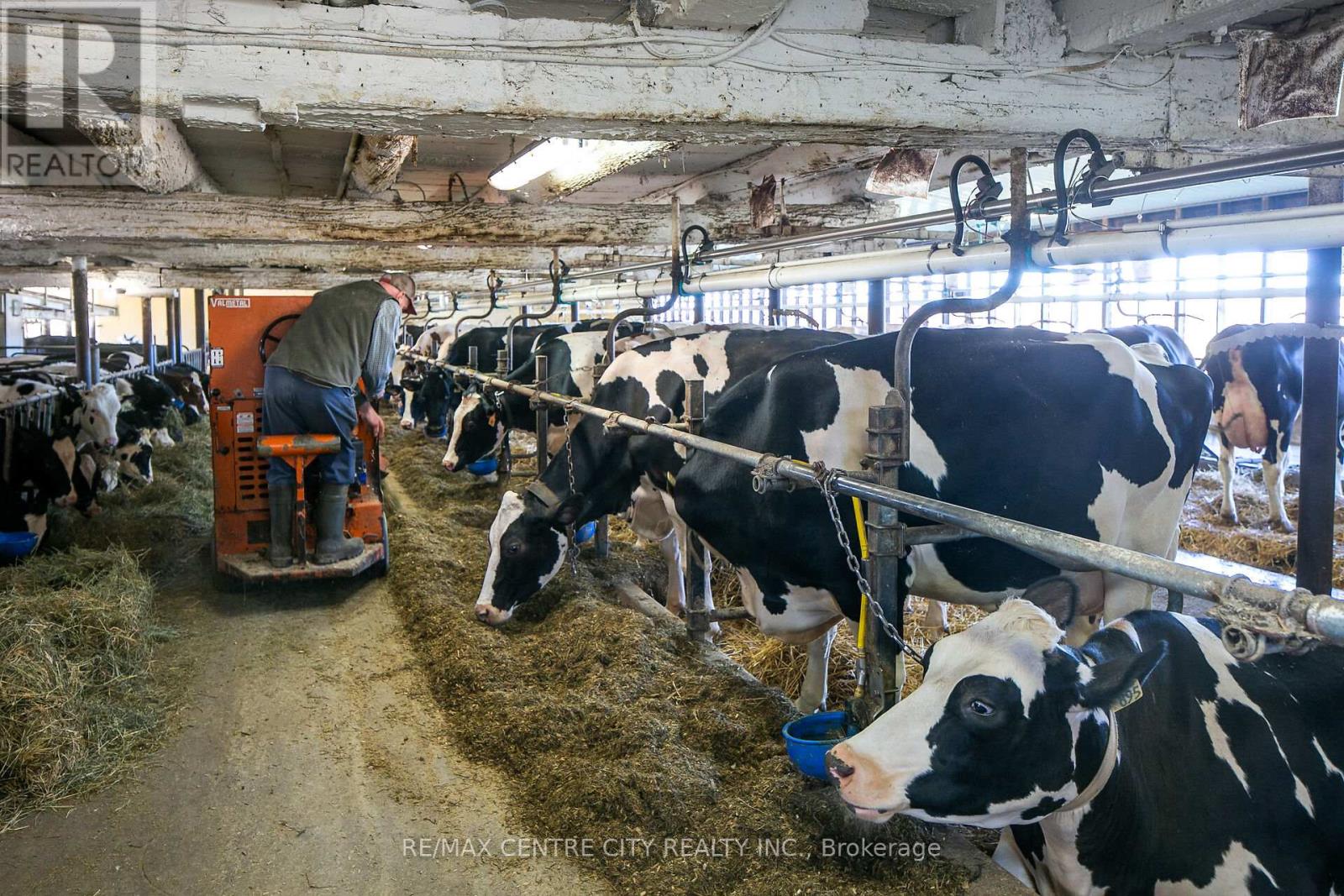 595224 4th Line, Blue Mountains, Ontario  N0H 2E0 - Photo 15 - X12516434