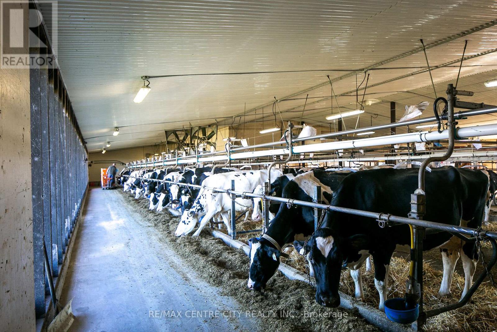 595224 4th Line, Blue Mountains, Ontario  N0H 2E0 - Photo 16 - X12516434