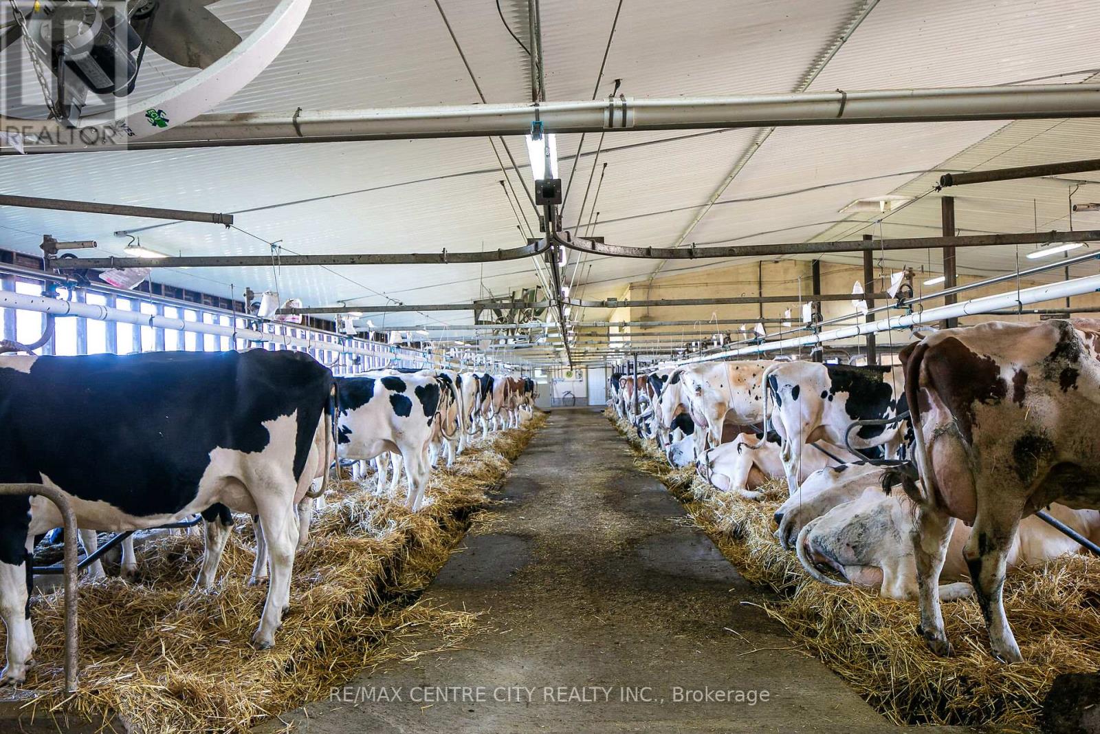 595224 4th Line, Blue Mountains, Ontario  N0H 2E0 - Photo 17 - X12516434