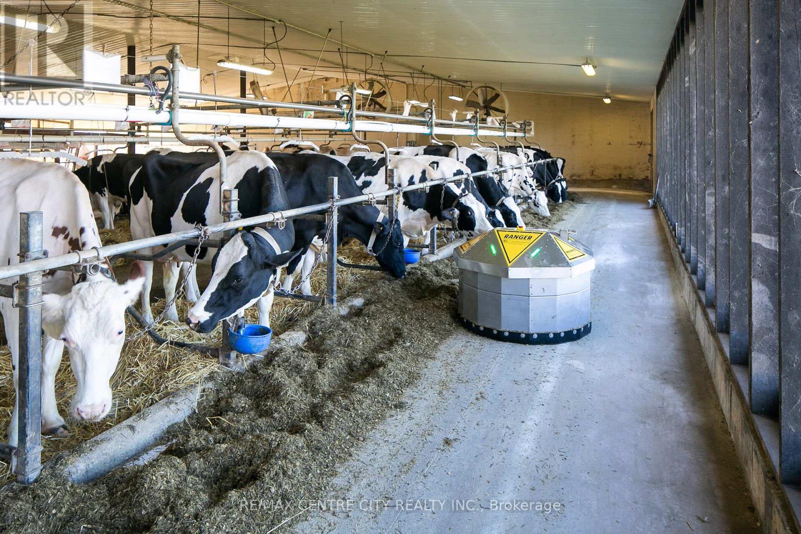 595224 4th Line, Blue Mountains, Ontario  N0H 2E0 - Photo 19 - X12516434