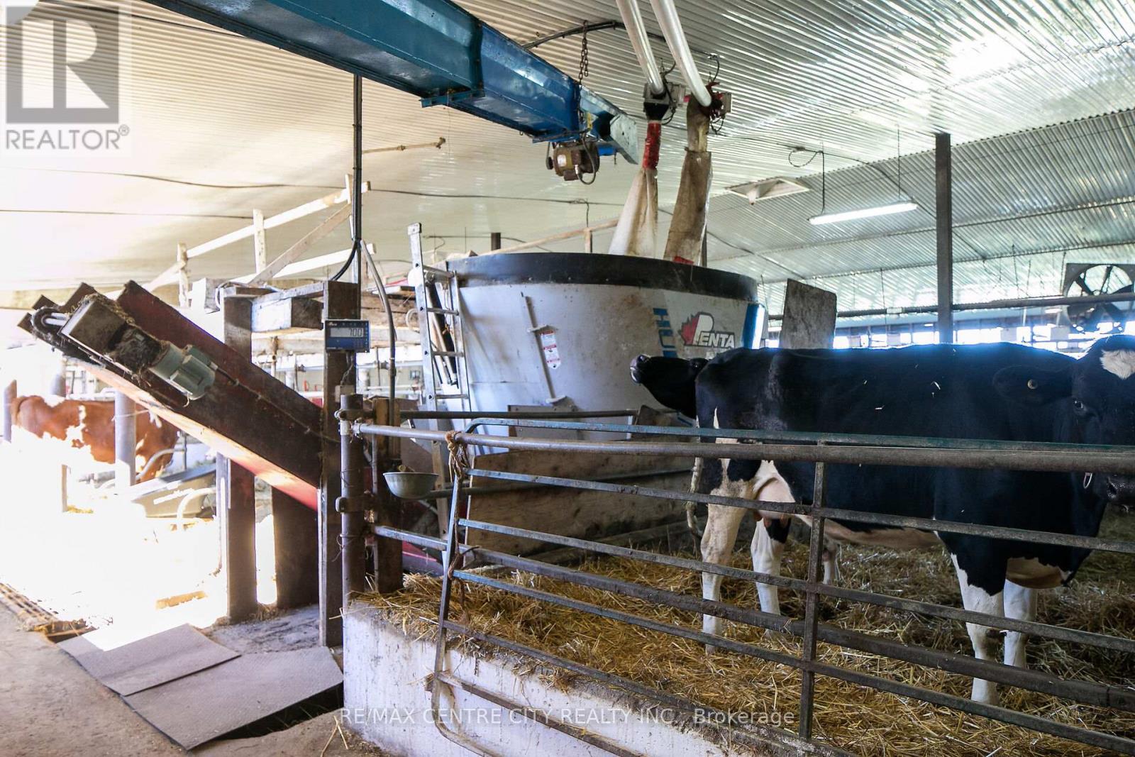 595224 4th Line, Blue Mountains, Ontario  N0H 2E0 - Photo 20 - X12516434