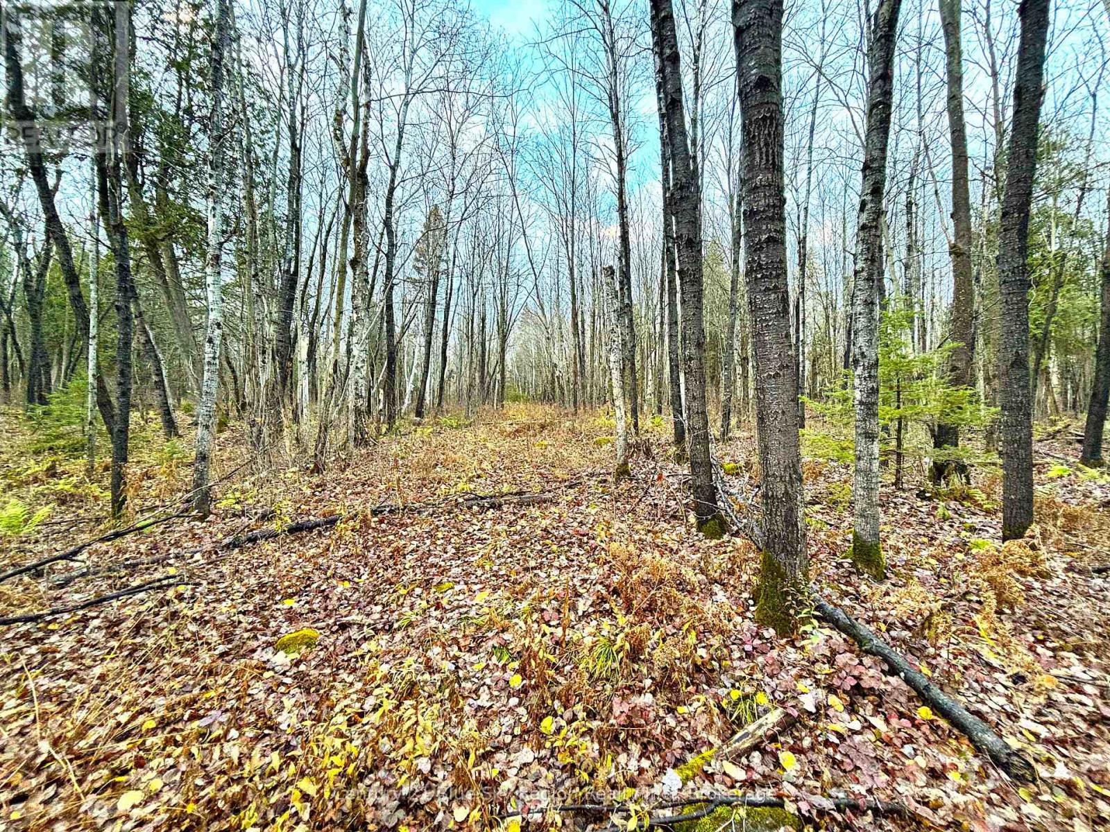 167-179 Lake Nosbonsing Road, Callander, Ontario  P0H 1H0 - Photo 24 - X12516170