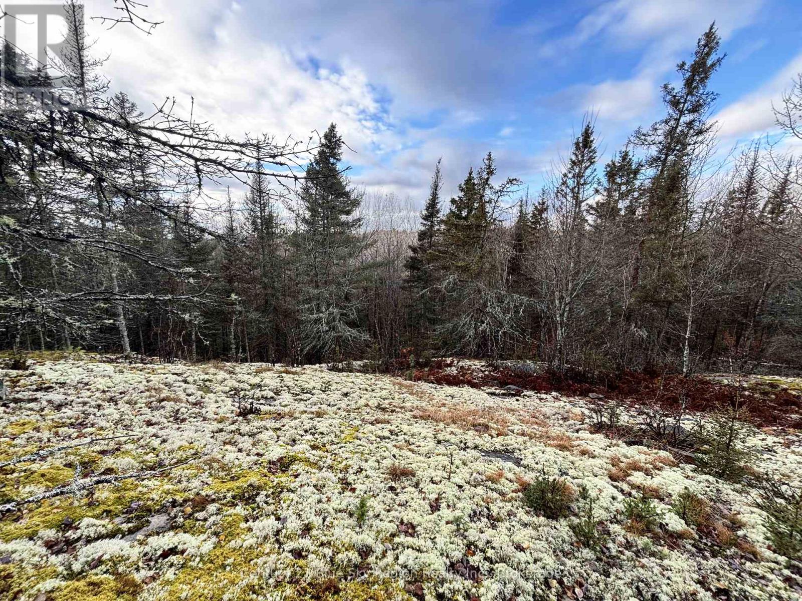 167-179 Lake Nosbonsing Road, Callander, Ontario  P0H 1H0 - Photo 26 - X12516170