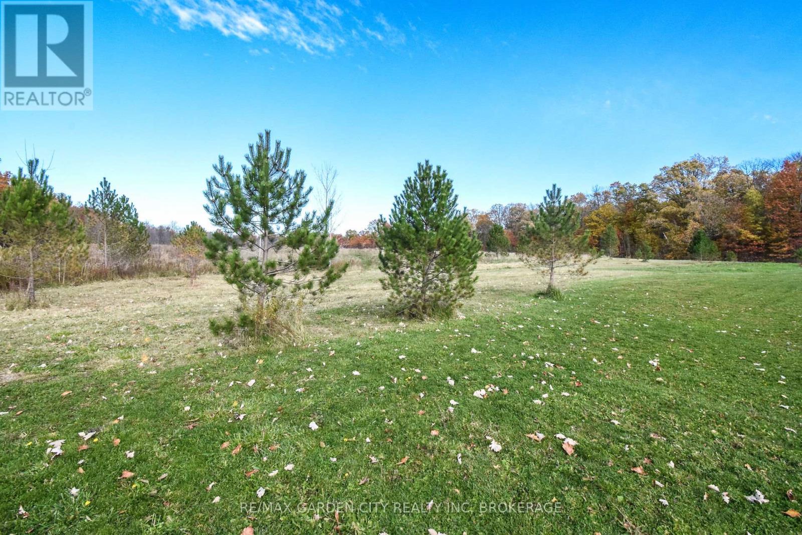 9735 Carl Road, Niagara Falls (Schisler), Ontario  L0S 1K0 - Photo 36 - X12516390