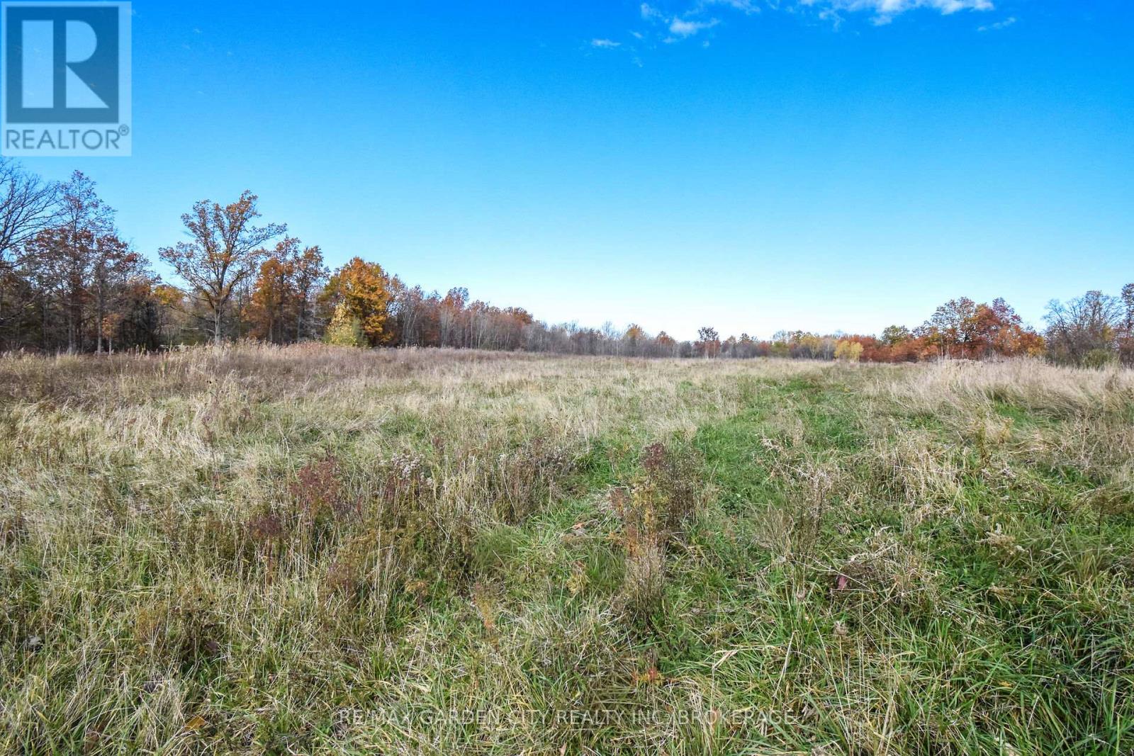 9735 Carl Road, Niagara Falls (Schisler), Ontario  L0S 1K0 - Photo 37 - X12516390