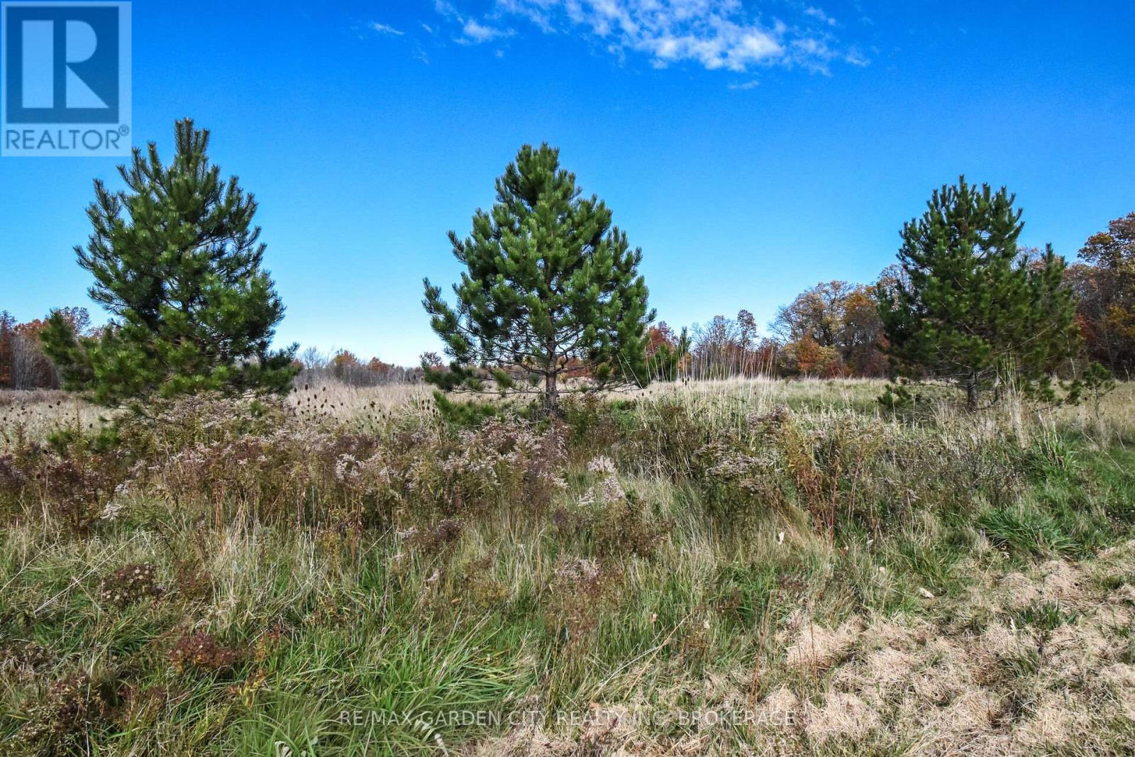 9735 Carl Road, Niagara Falls (Schisler), Ontario  L0S 1K0 - Photo 39 - X12516390