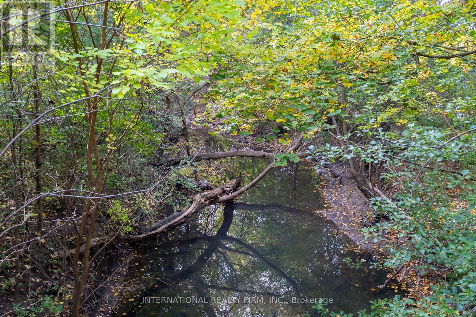 141 Roebuck Drive, Toronto, Ontario  M1K 2H9 - Photo 17 - E12509182