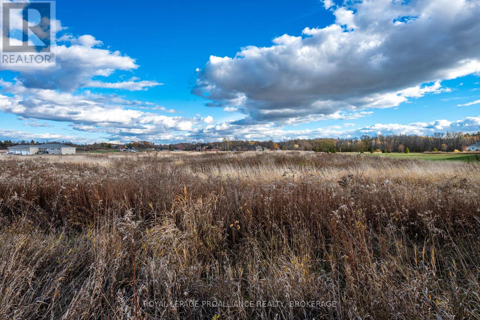 201 Mann Drive, Kingston, Ontario K7L 0G2 - Photo 13 - X12516670