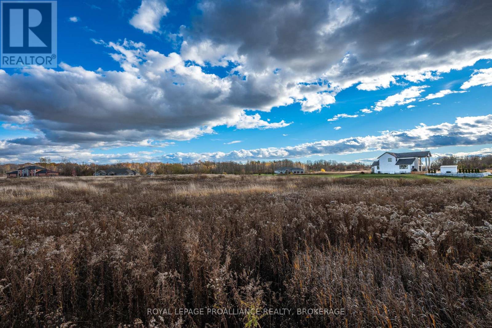 201 Mann Drive, Kingston, Ontario K7L 0G2 - Photo 14 - X12516670