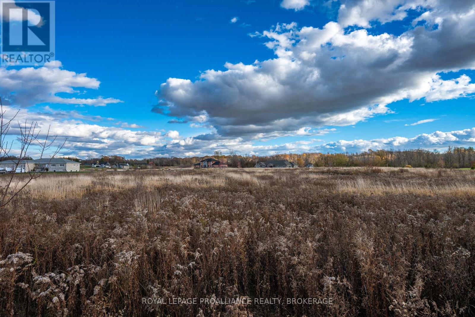 201 Mann Drive, Kingston, Ontario K7L 0G2 - Photo 15 - X12516670