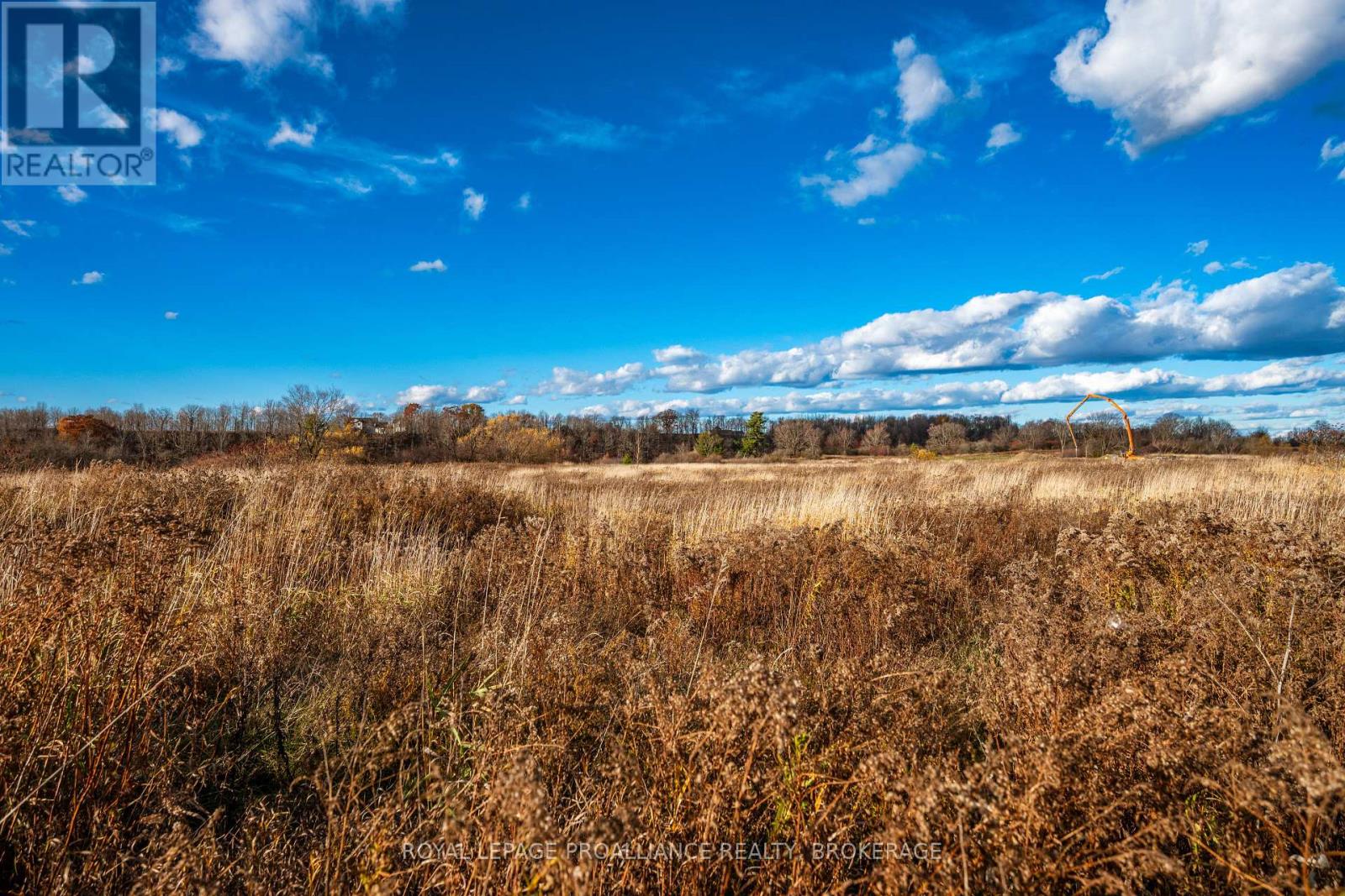 201 Mann Drive, Kingston, Ontario K7L 0G2 - Photo 16 - X12516670