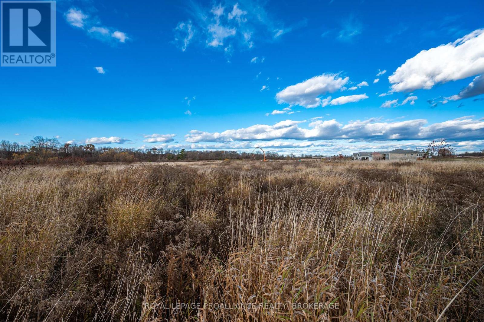 201 Mann Drive, Kingston, Ontario K7L 0G2 - Photo 17 - X12516670