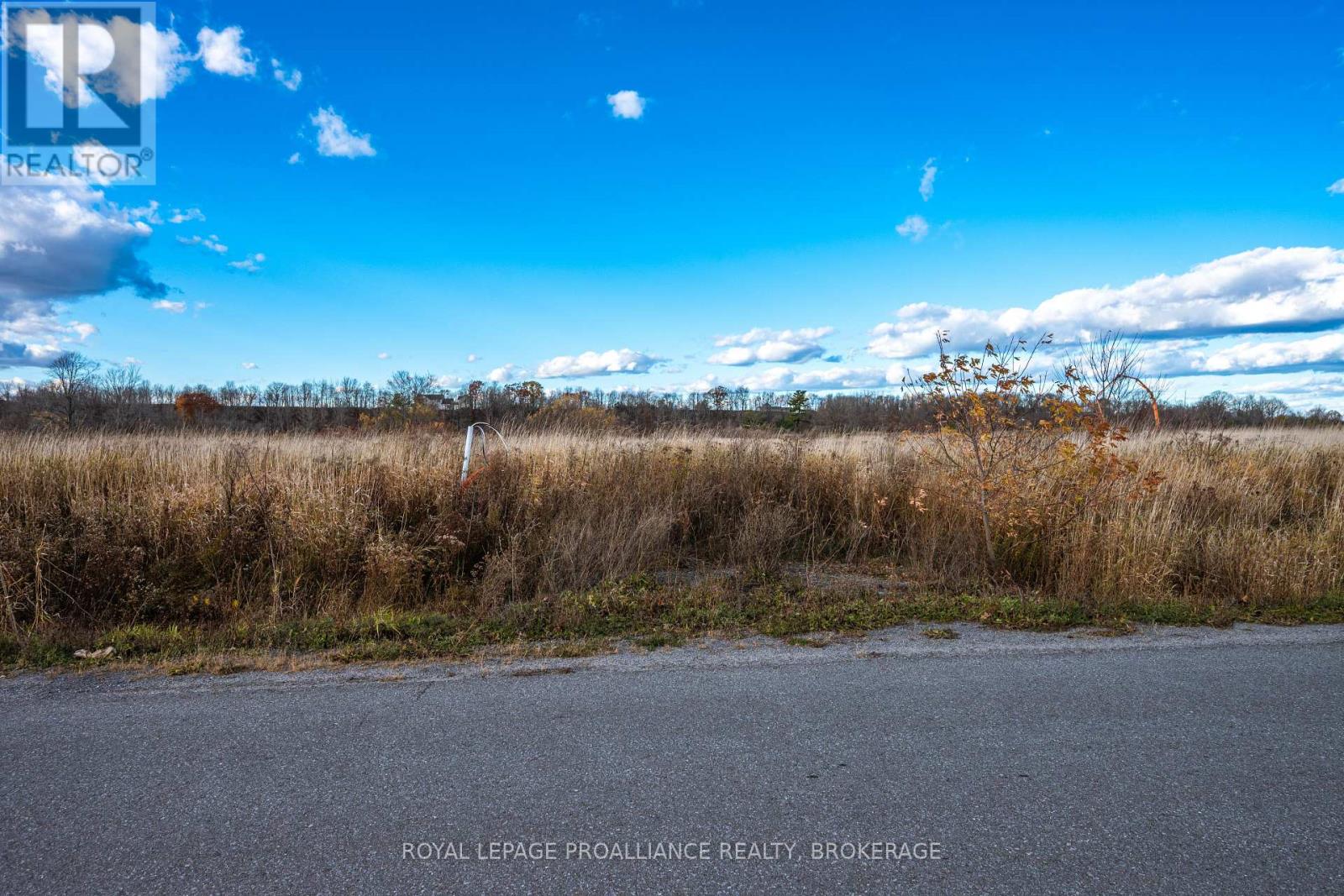 201 Mann Drive, Kingston, Ontario K7L 0G2 - Photo 19 - X12516670