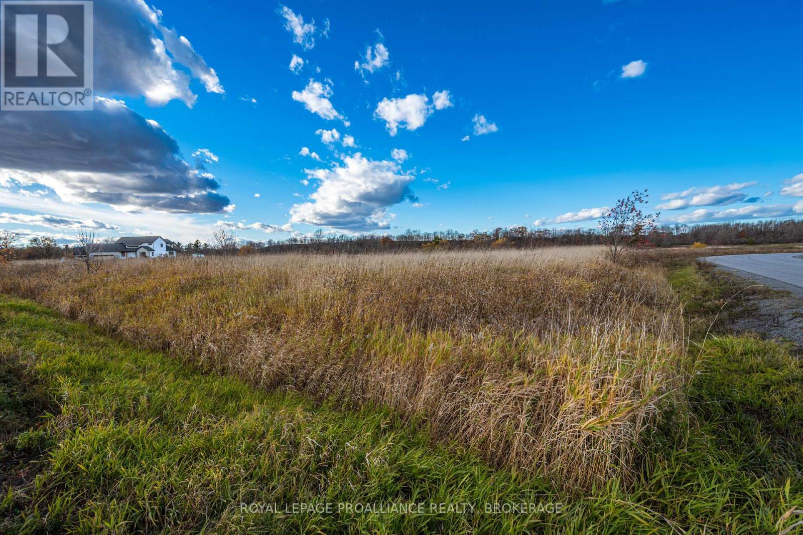 201 Mann Drive, Kingston, Ontario K7L 0G2 - Photo 21 - X12516670