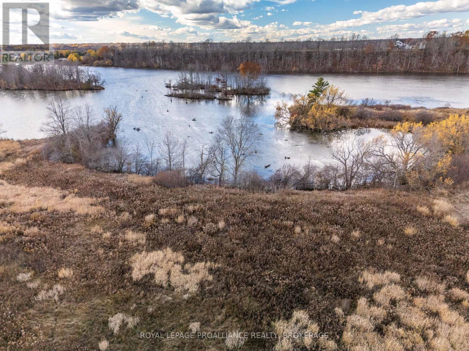 201 Mann Drive, Kingston, Ontario K7L 0G2 - Photo 6 - X12516670