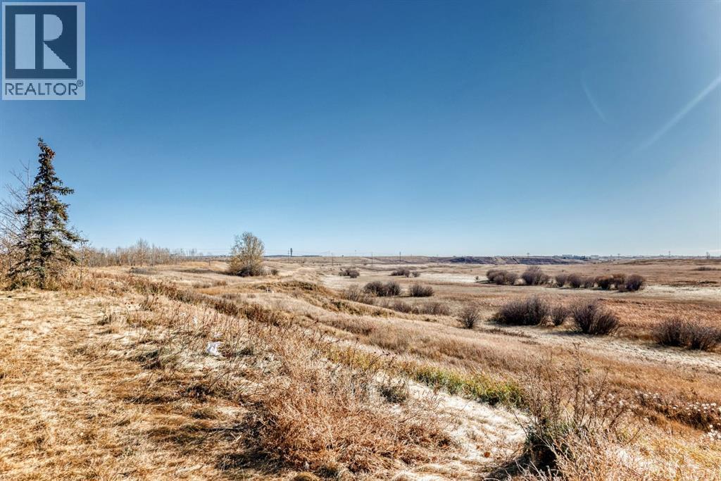 9747 Harvest Hills Link Ne, Calgary, Alberta  T5T 5T5 - Photo 38 - A2261194