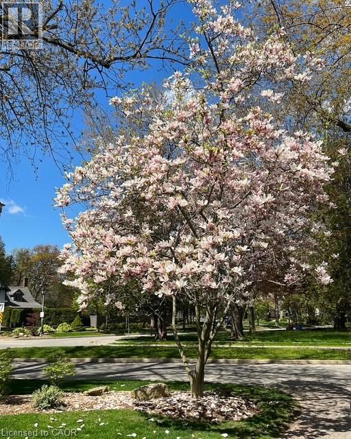 206 Rossmore Boulevard, Burlington, Ontario L7N 1R1 - Photo 47 - 40782326