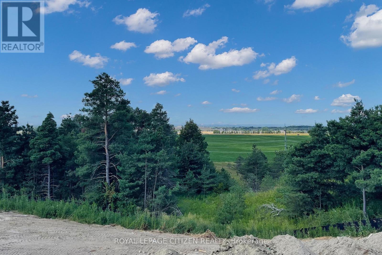 82 Lawrence D. Pridham Avenue, New Tecumseth (Alliston), Ontario  L9R 0X1 - Photo 37 - N12516260