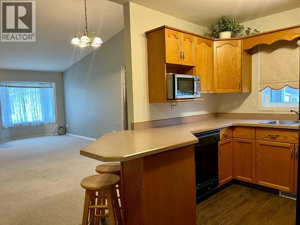 4919 53 Avenue, Viking, Alberta  T0B 4N0 - Photo 10 - A2268500