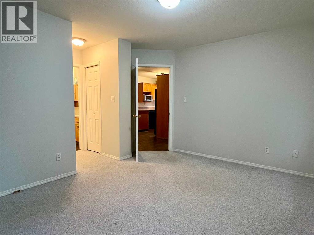 4919 53 Avenue, Viking, Alberta  T0B 4N0 - Photo 13 - A2268500