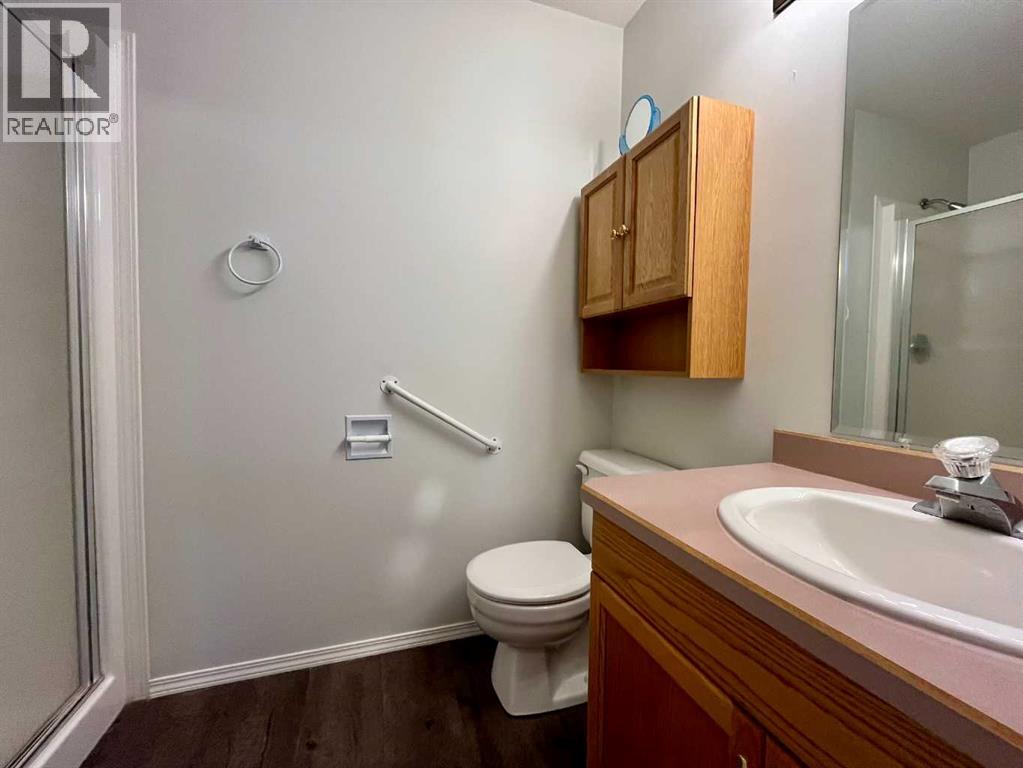 4919 53 Avenue, Viking, Alberta  T0B 4N0 - Photo 14 - A2268500