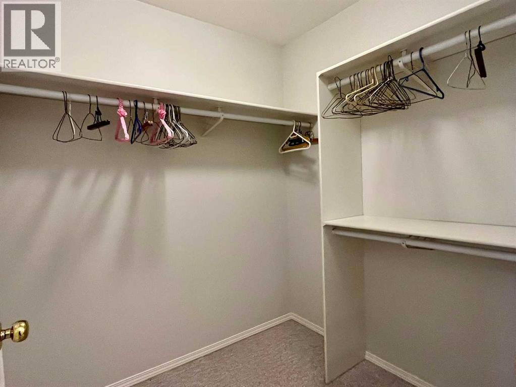 4919 53 Avenue, Viking, Alberta  T0B 4N0 - Photo 16 - A2268500