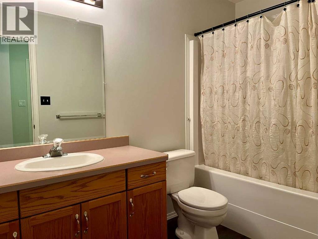 4919 53 Avenue, Viking, Alberta  T0B 4N0 - Photo 20 - A2268500