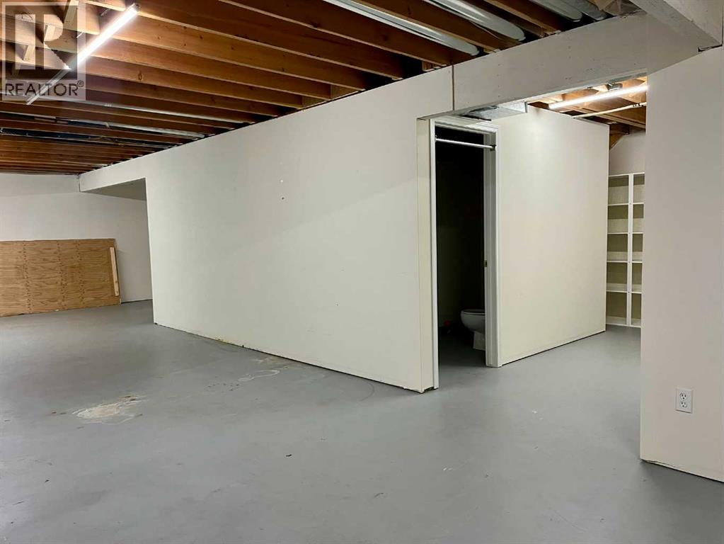 4919 53 Avenue, Viking, Alberta  T0B 4N0 - Photo 23 - A2268500