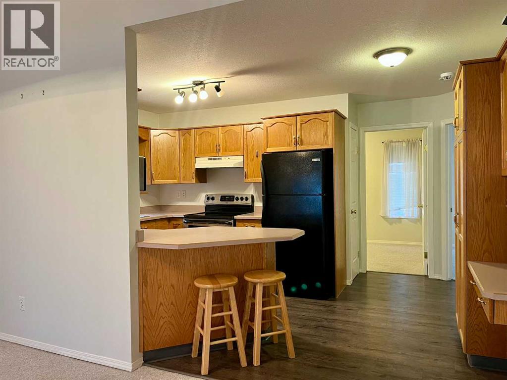 4919 53 Avenue, Viking, Alberta  T0B 4N0 - Photo 6 - A2268500