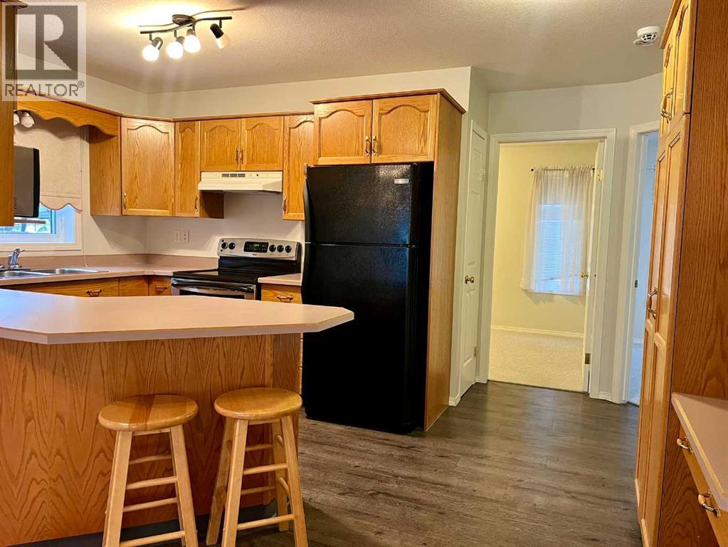 4919 53 Avenue, Viking, Alberta  T0B 4N0 - Photo 7 - A2268500