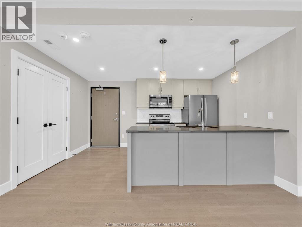 140 Main Street East Unit# 310, Kingsville, Ontario N9Y 1A6 - Photo 6 - 25028207