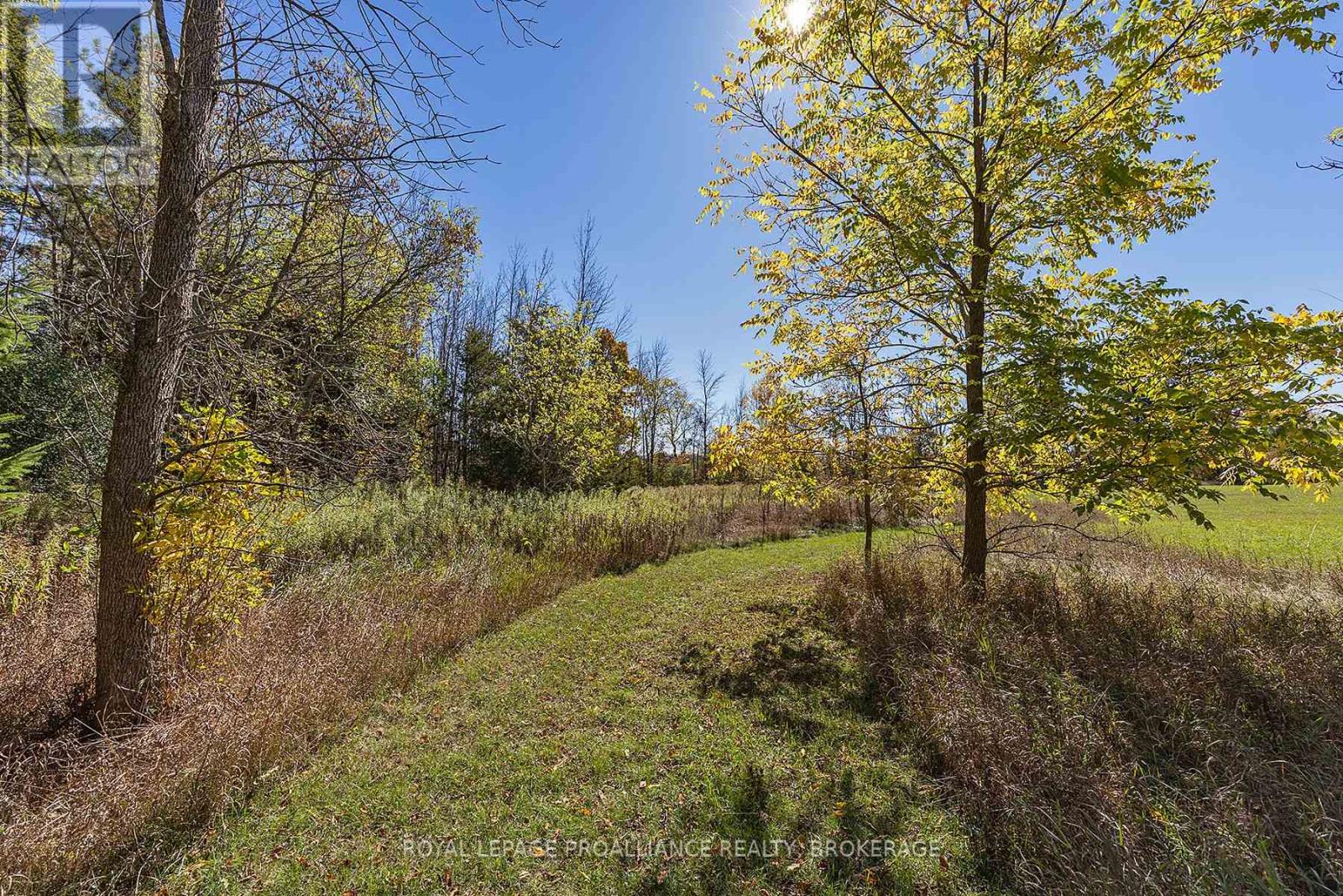 1136 Millhaven Road, Loyalist, Ontario K0H 2H0 - Photo 25 - X12516838