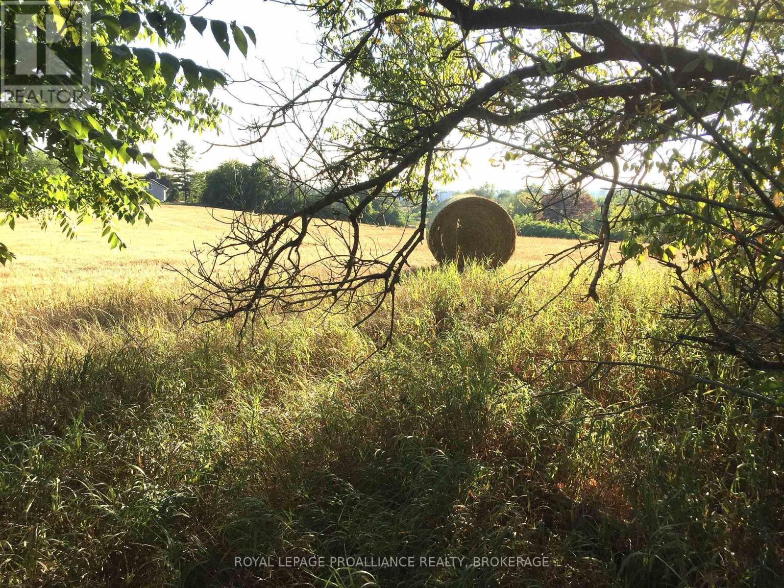 1136 Millhaven Road, Loyalist, Ontario K0H 2H0 - Photo 26 - X12516838